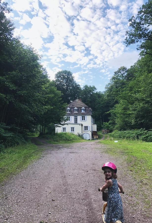 Die Talmuehle Neustadt an der Weinstraße Eksteriør billede