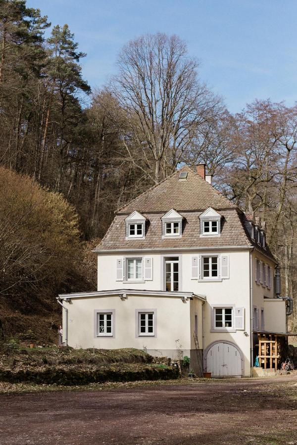 Die Talmuehle Neustadt an der Weinstraße Eksteriør billede